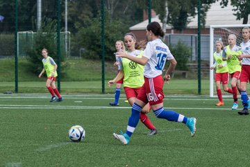 Bild 50 - C-Juniorinnen HSV - Walddoerfer : Ergebnis: 9:1